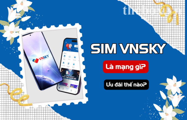 vnsky la mang gi 1