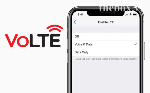 volte la mang gi 1
