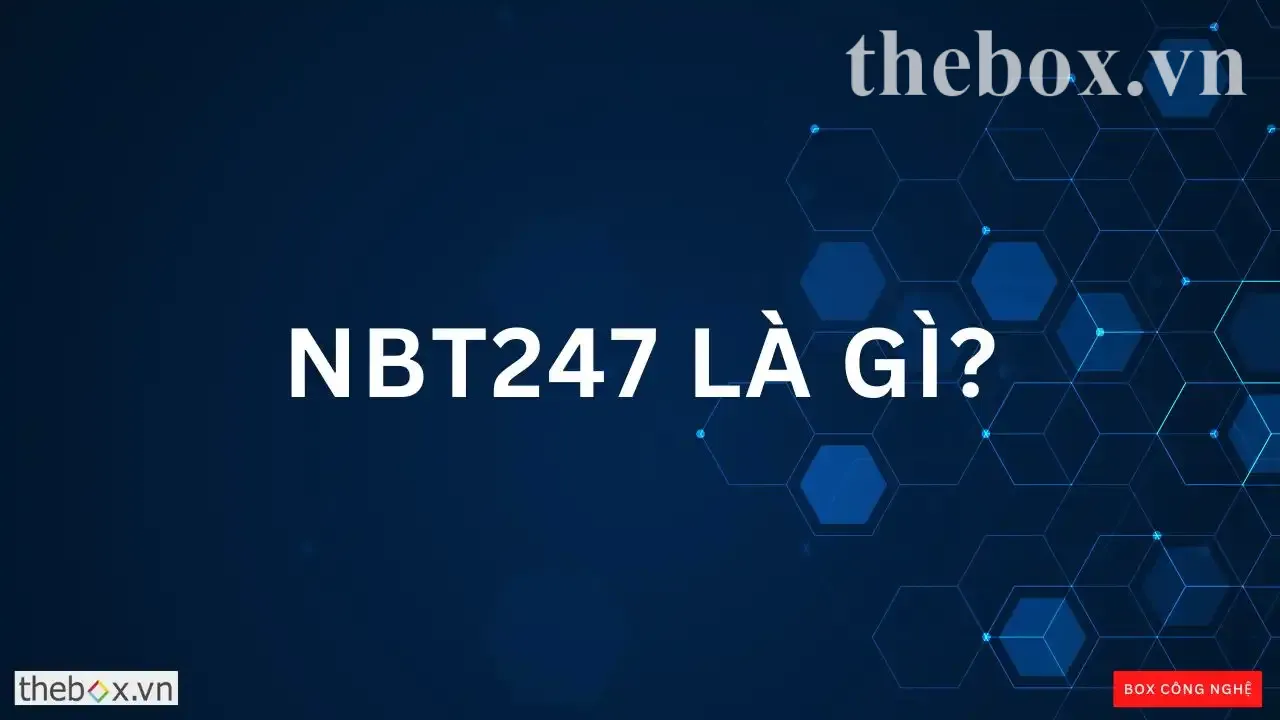 nbt247 là gì